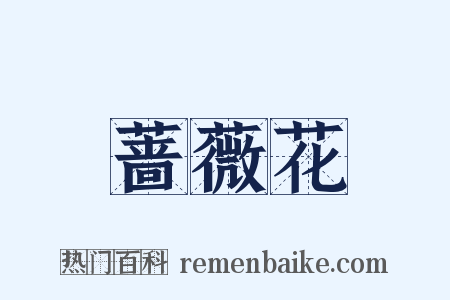 蔷薇花是什么意思的图片